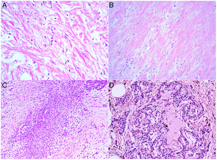Figure 10