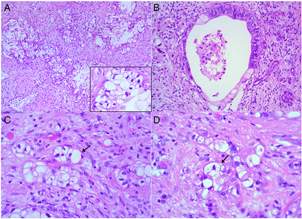 Figure 4