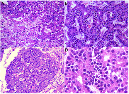 Figure 7