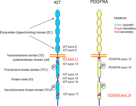 Figure 6