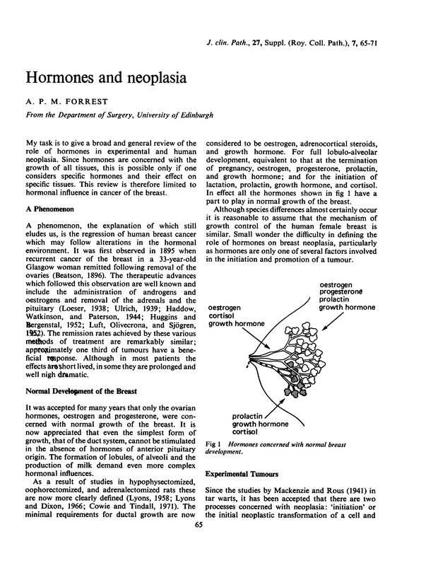 PDF extract preview
