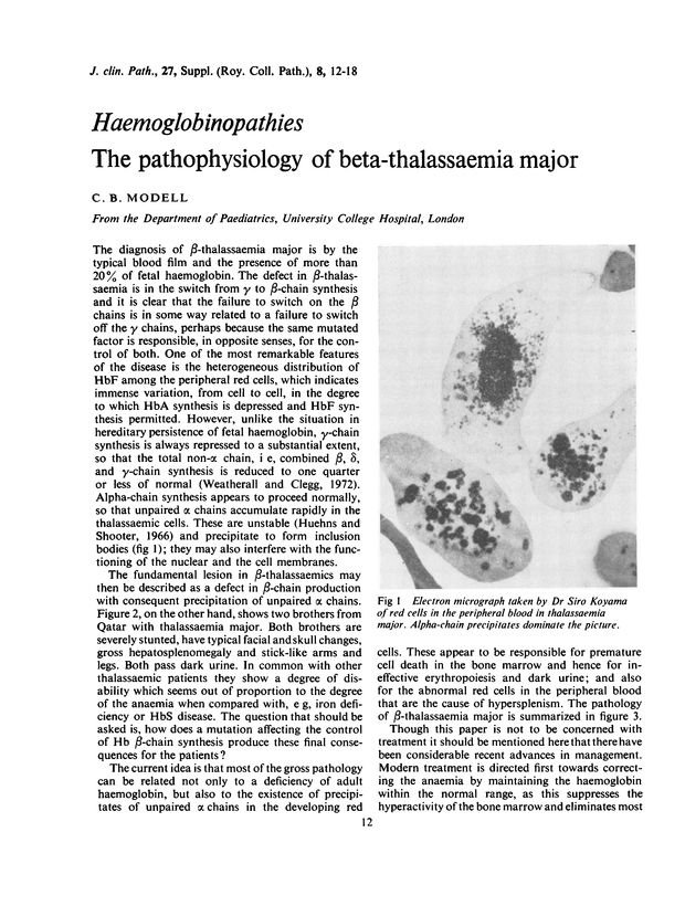 PDF extract preview