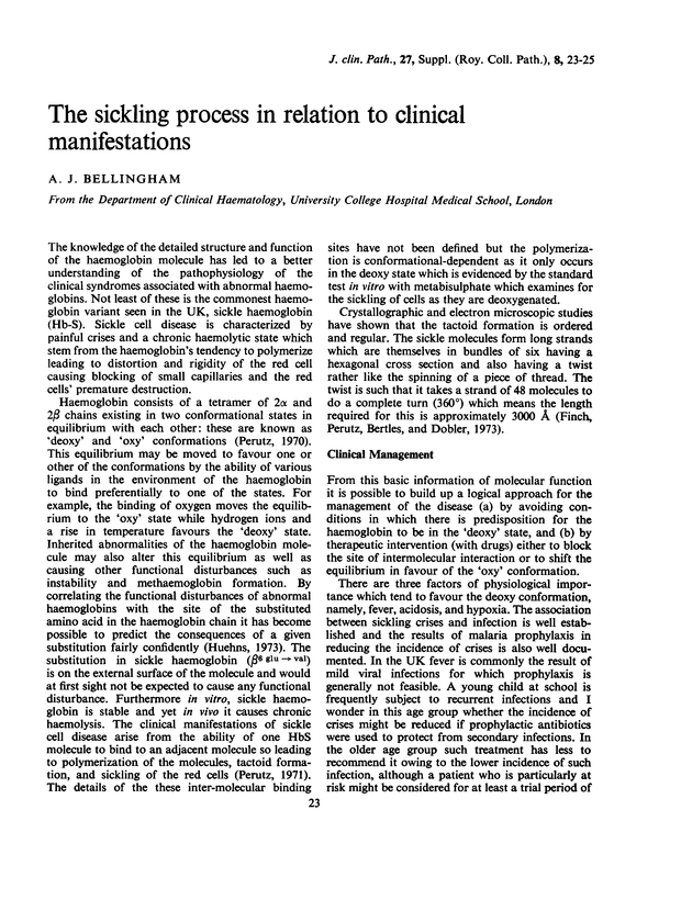 PDF extract preview
