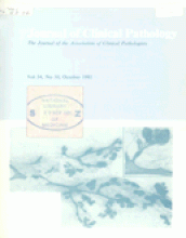 Journal of Clinical Pathology: 34 (10)